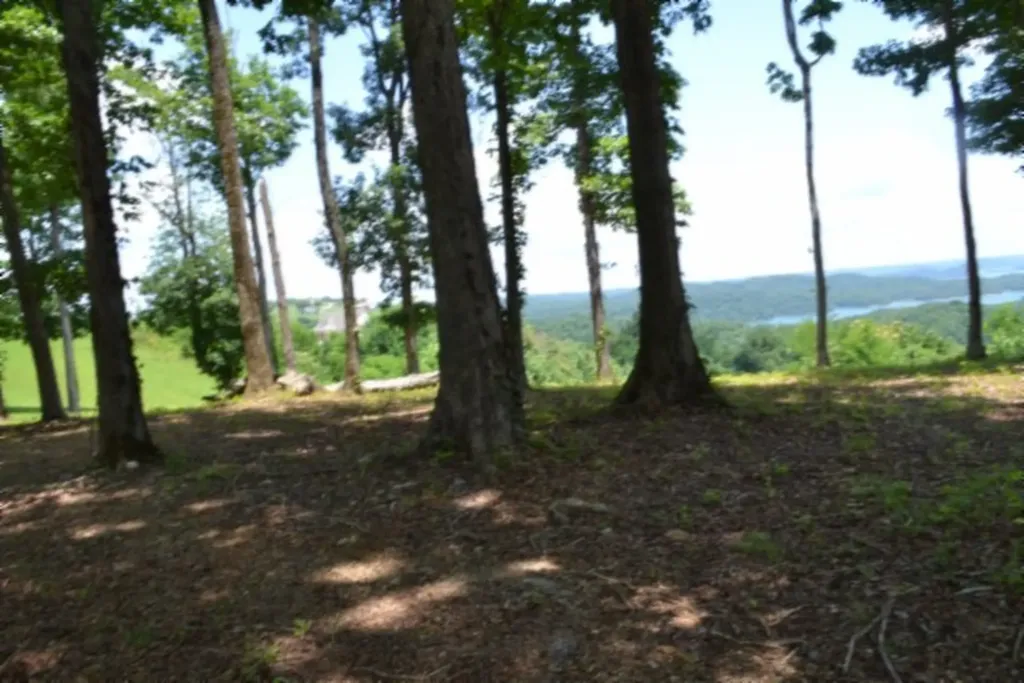 0 Rock Fish Road, E Hilham TN 38568