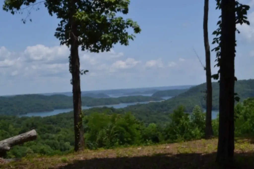 0 Rock Fish Road, E Hilham TN 38568