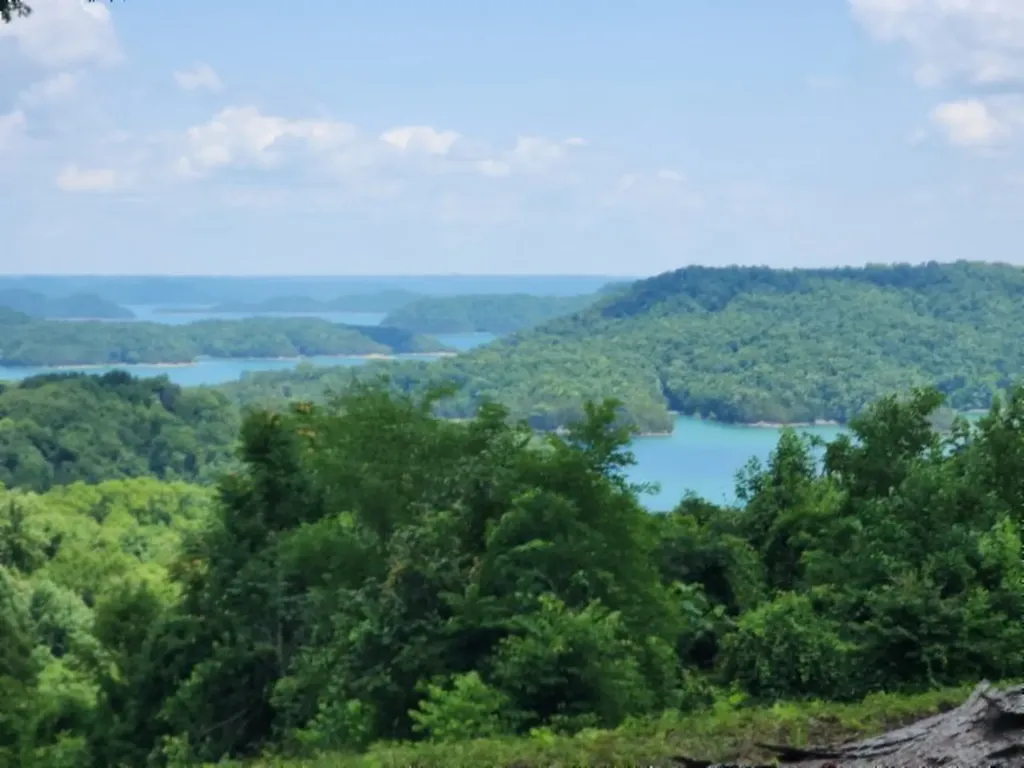 0 Rock Fish Road, E Hilham TN 38568