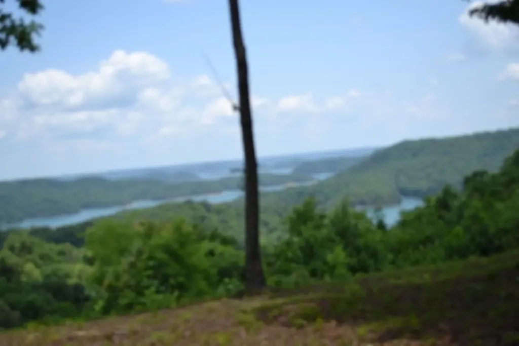 0 Rock Fish Road, E Hilham TN 38568