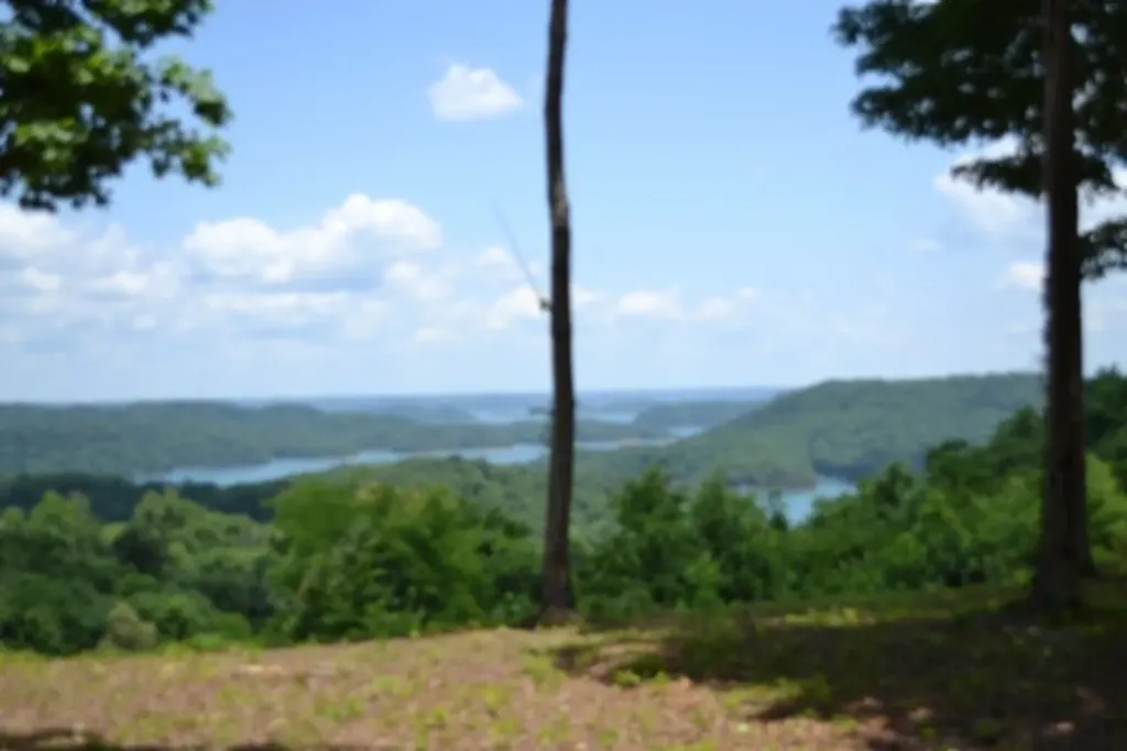 0 Rock Fish Road, E Hilham TN 38568