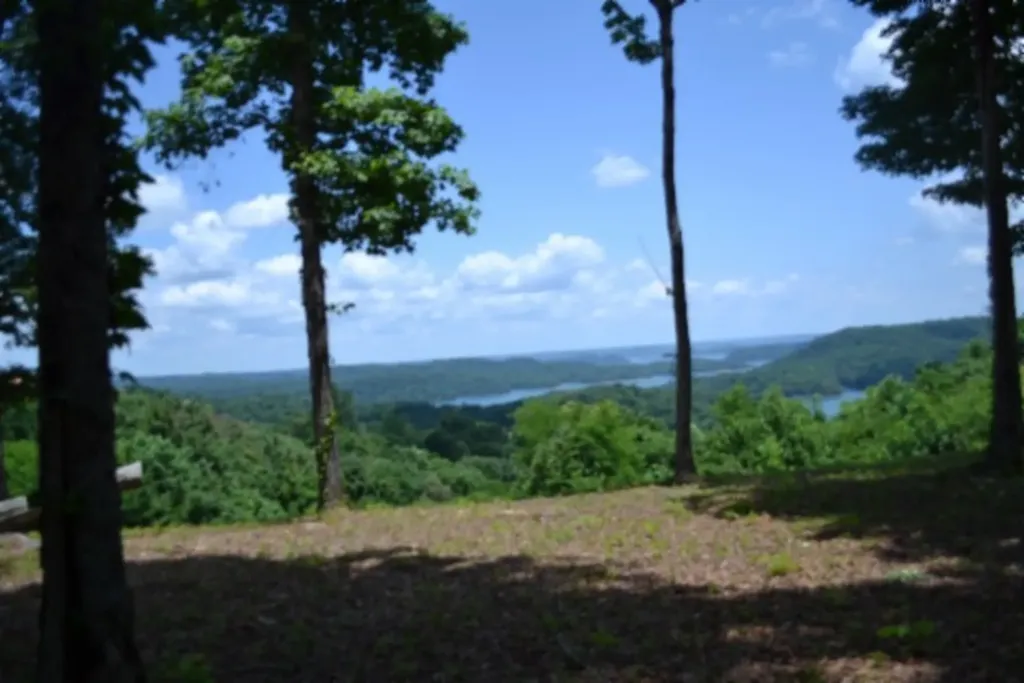 0 Rock Fish Road, E Hilham TN 38568