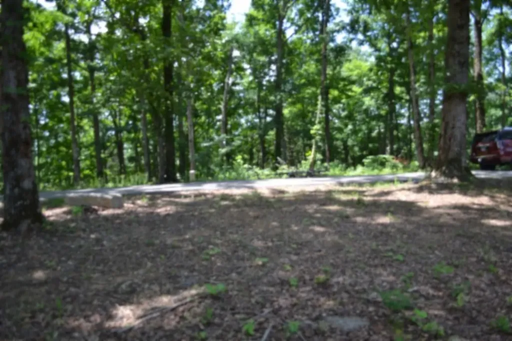 0 Rock Fish Road, E Hilham TN 38568