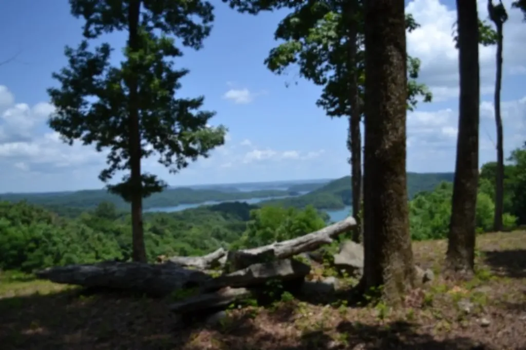 0 Rock Fish Road, E Hilham TN 38568