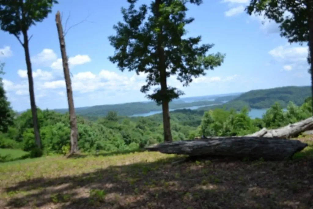 0 Rock Fish Road, E Hilham TN 38568