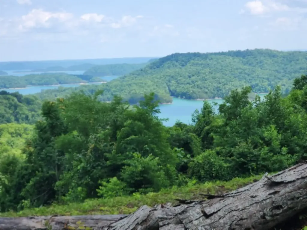 0 Rock Fish Road, E Hilham TN 38568