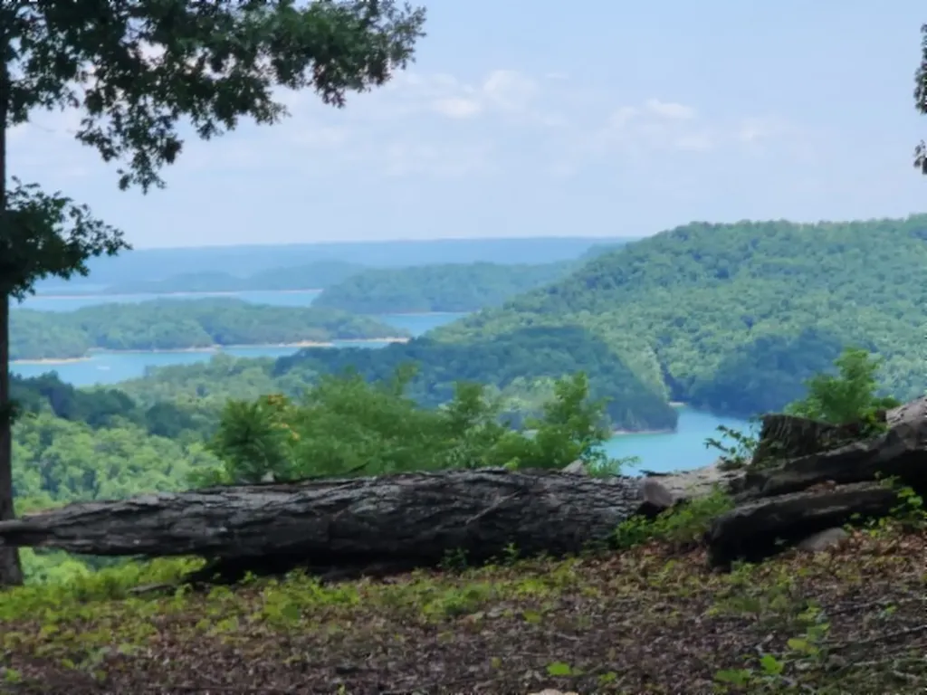 0 Rock Fish Road, E Hilham TN 38568