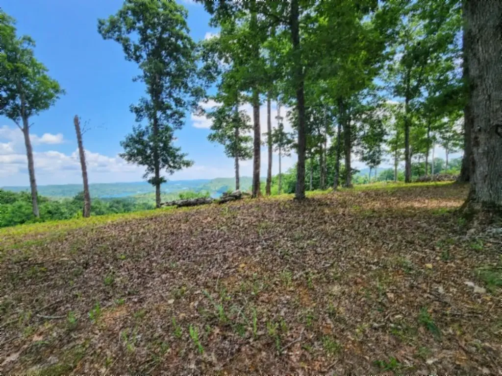 0 Rock Fish Road, E Hilham TN 38568