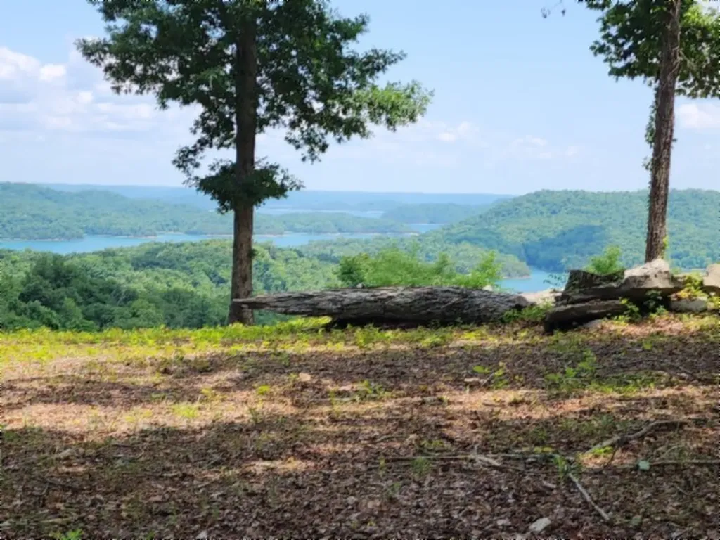 0 Rock Fish Road, E Hilham TN 38568