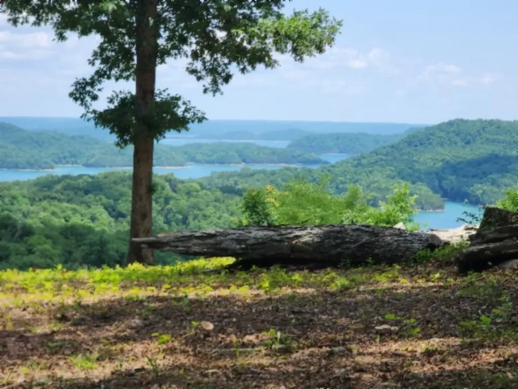 0 Rock Fish Road, E Hilham TN 38568