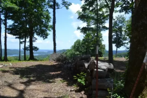 0 Rock Fish Road, E Hilham TN 38568