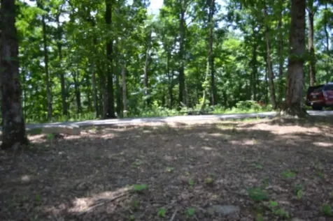 0 Rock Fish Road, E Hilham TN 38568
