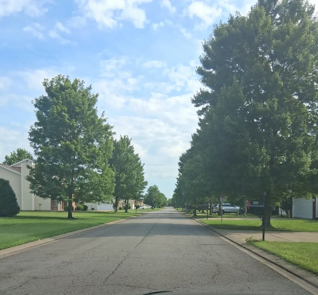 203 Neal Avenue Smyrna TN 37167