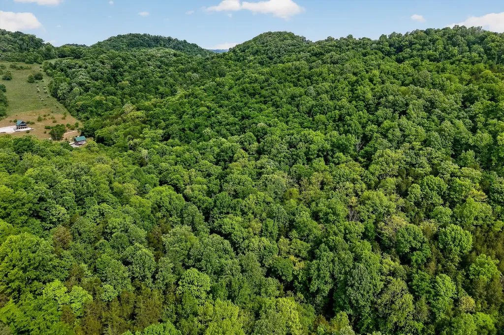 4830 Ensor Hollow Road Buffalo Valley TN 38548
