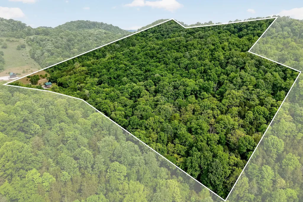 4830 Ensor Hollow Road Buffalo Valley TN 38548