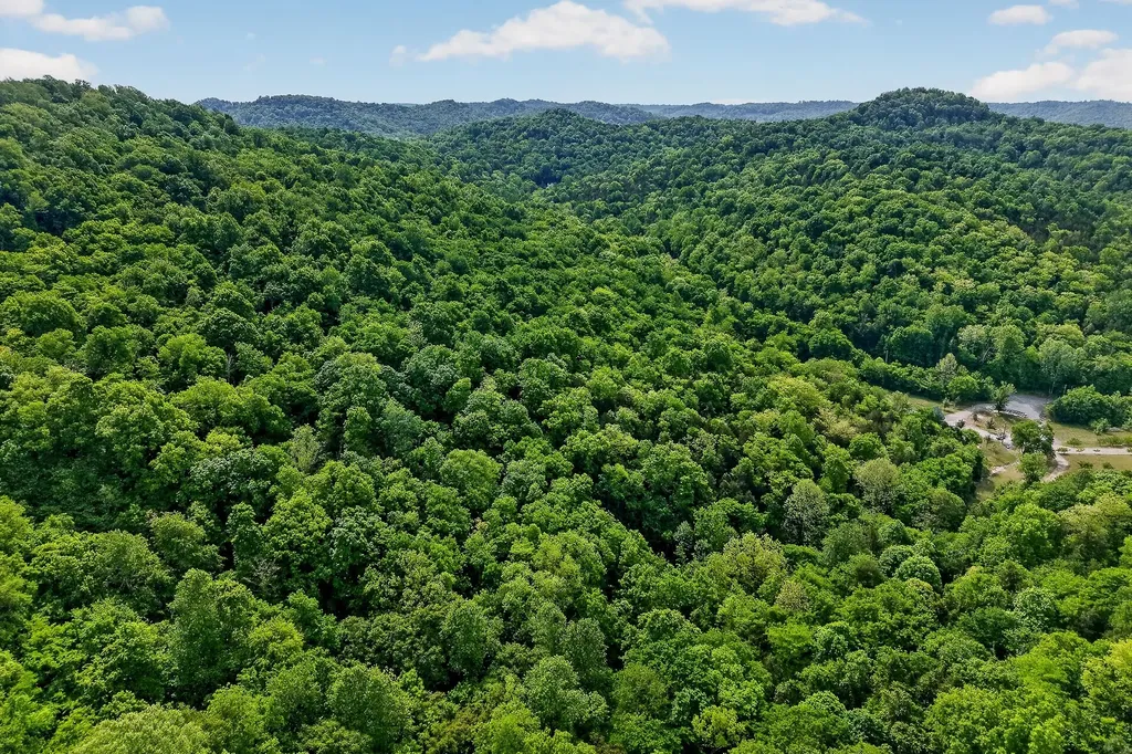 4830 Ensor Hollow Road Buffalo Valley TN 38548