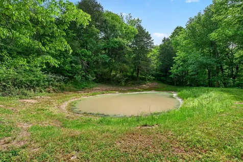 4830 Ensor Hollow Road Buffalo Valley TN 38548