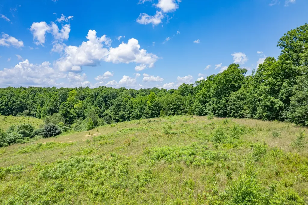 0 Mobley Ridge Road Duck River TN 38454