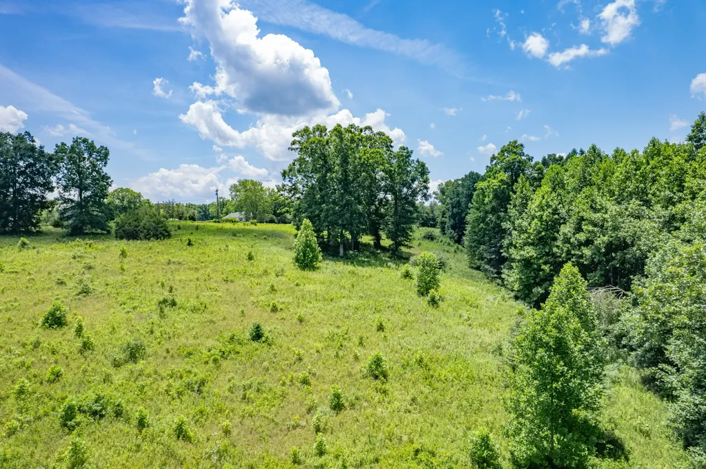0 Mobley Ridge Road Duck River TN 38454