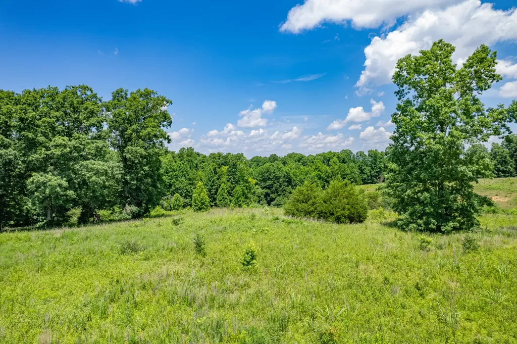 0 Mobley Ridge Road Duck River TN 38454
