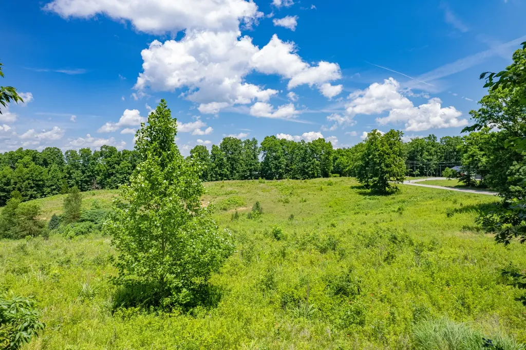 0 Mobley Ridge Road Duck River TN 38454