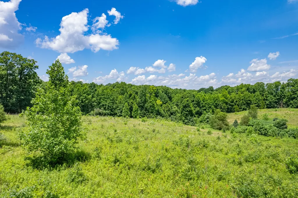 0 Mobley Ridge Road Duck River TN 38454