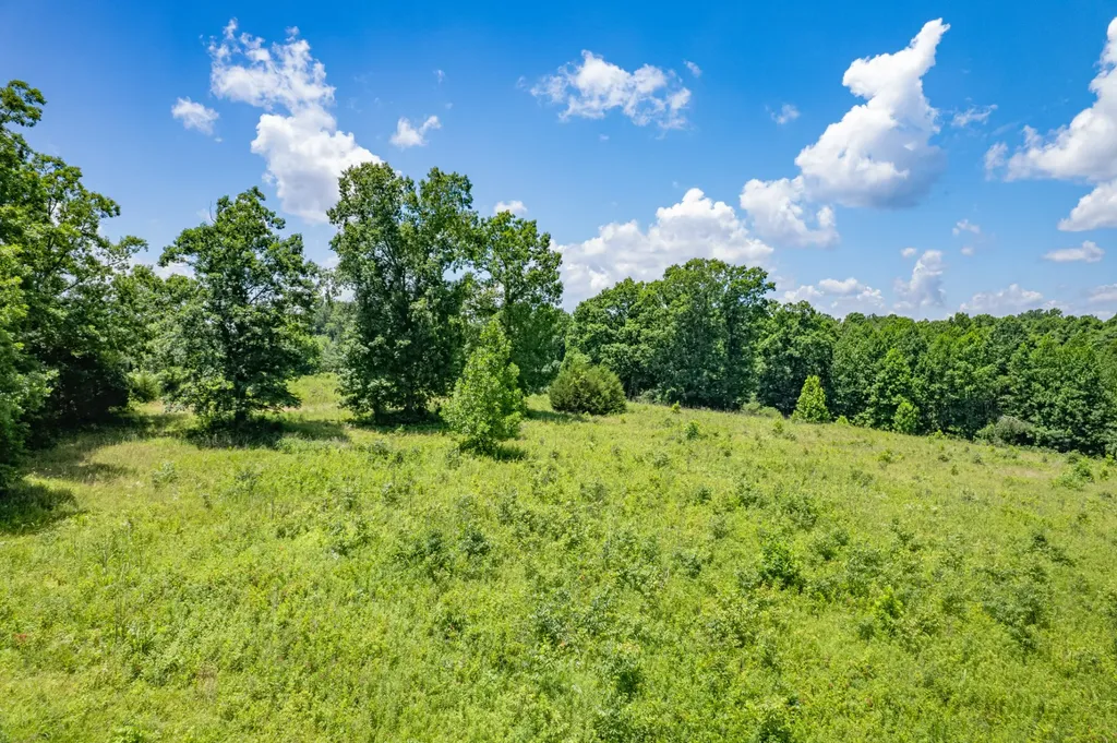 0 Mobley Ridge Road Duck River TN 38454