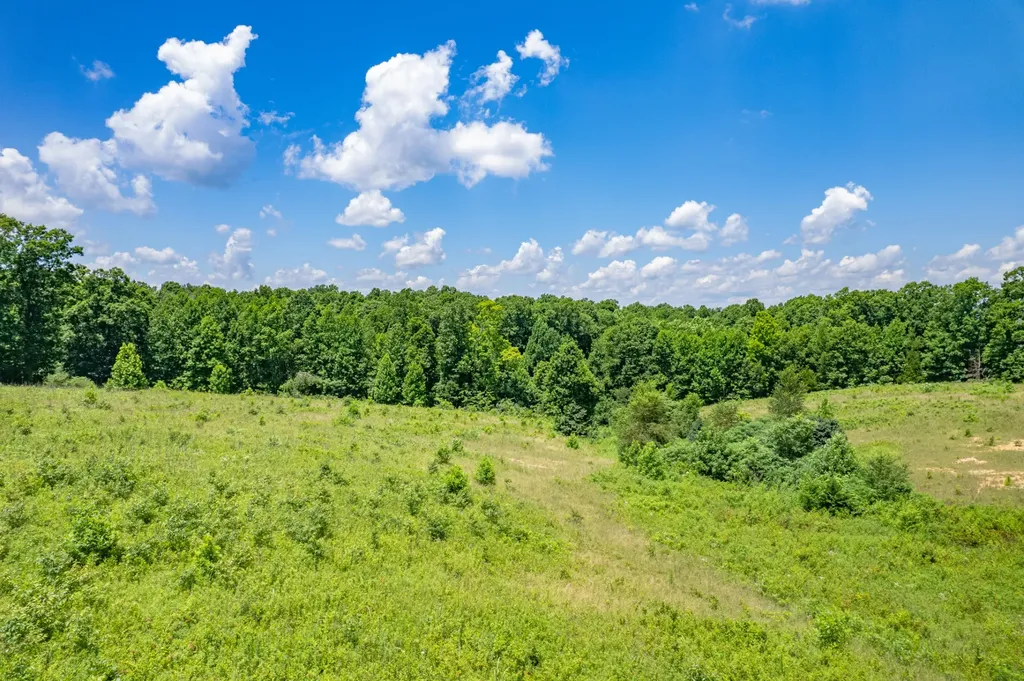 0 Mobley Ridge Road Duck River TN 38454