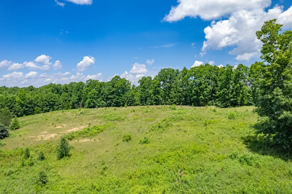 0 Mobley Ridge Road Duck River TN 38454