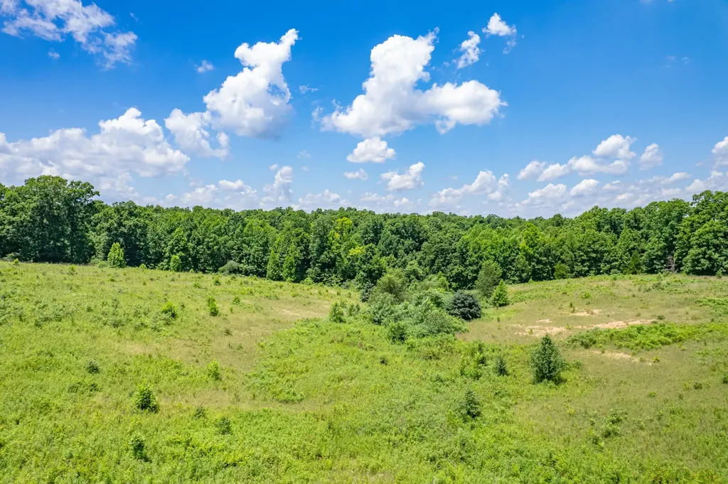 0 Mobley Ridge Road Duck River TN 38454