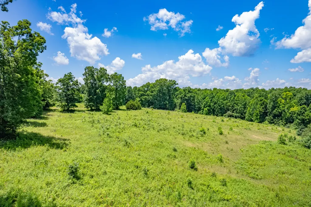 0 Mobley Ridge Road Duck River TN 38454