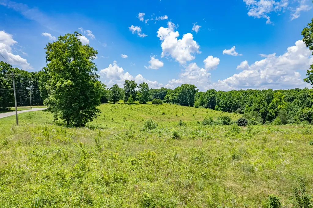 0 Mobley Ridge Road Duck River TN 38454