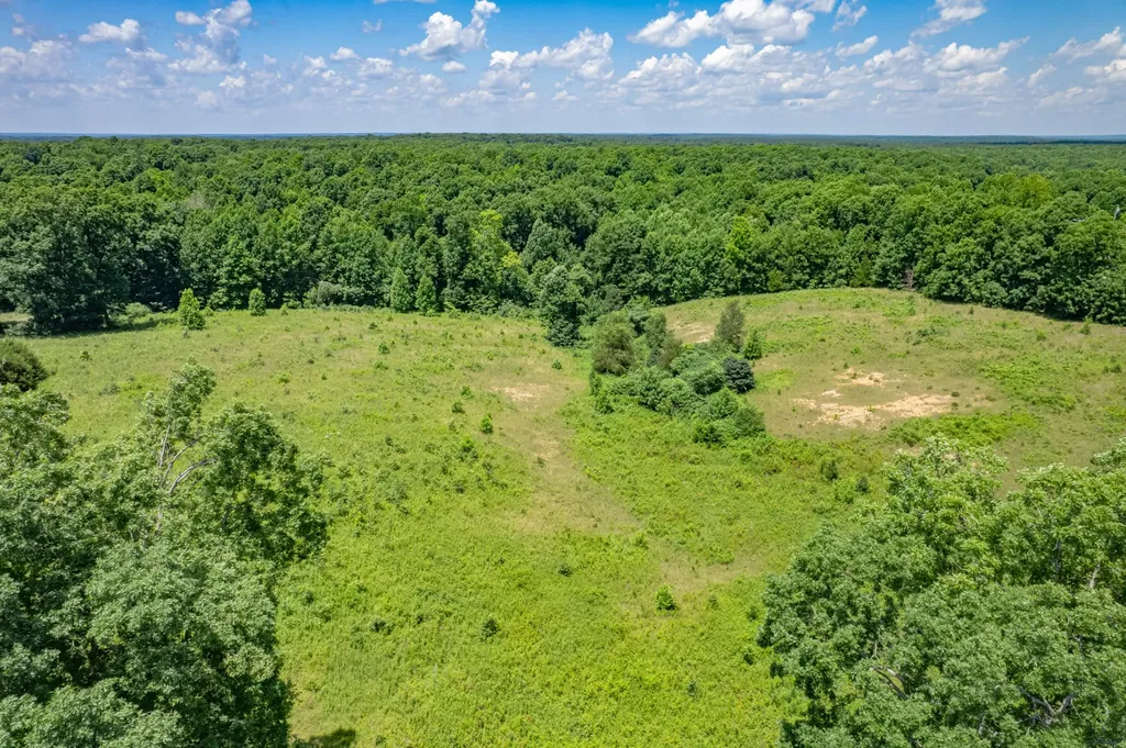 0 Mobley Ridge Road Duck River TN 38454