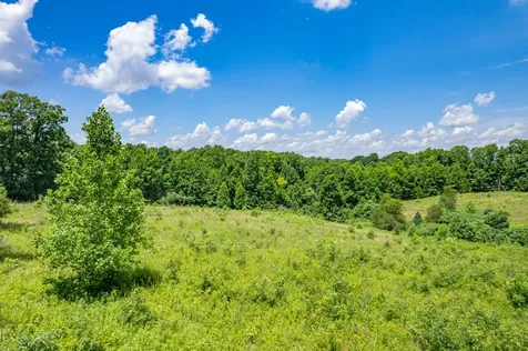 0 Mobley Ridge Road Duck River TN 38454