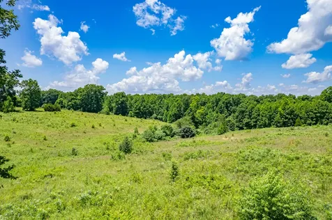 0 Mobley Ridge Road Duck River TN 38454