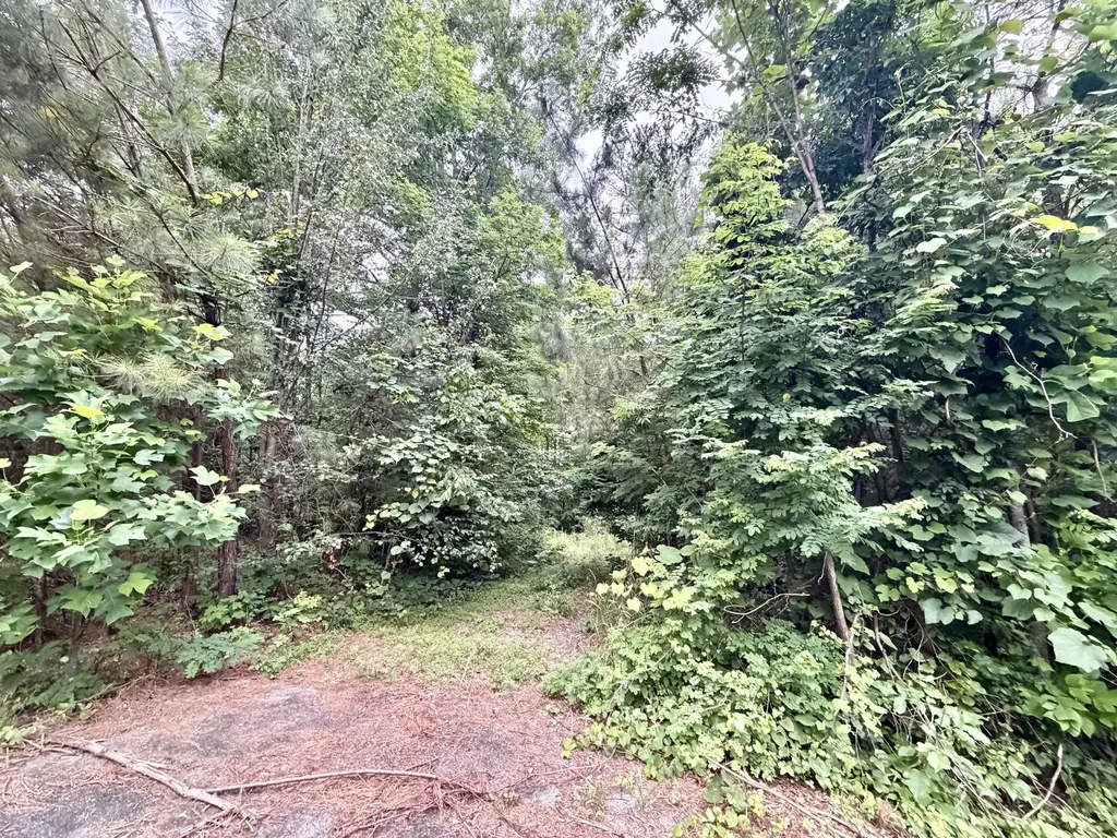 0 Cobbler Ridge Road Franklin TN 37064