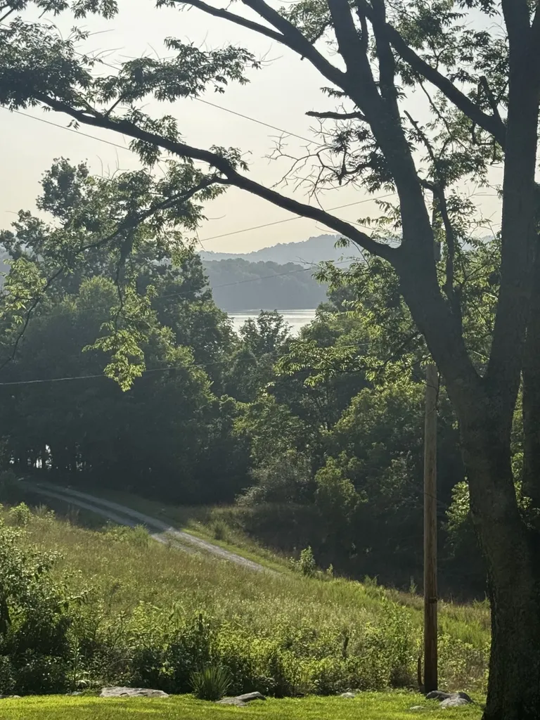 97 Mcclures Bend Lane Carthage TN 37030