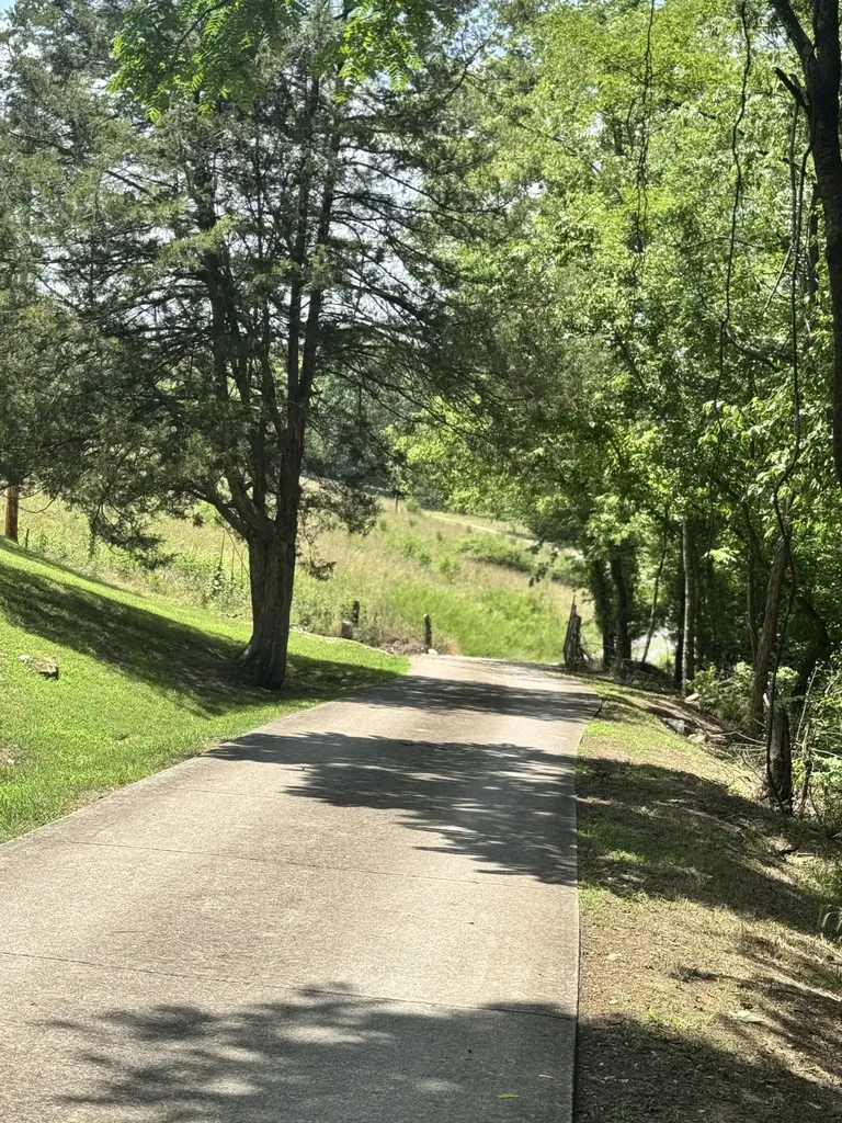 97 Mcclures Bend Lane Carthage TN 37030