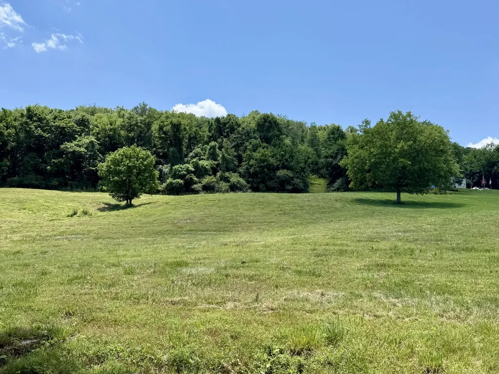 40 Mahan Lane Elmwood TN 38560