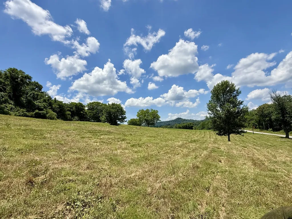 40 Mahan Lane Elmwood TN 38560