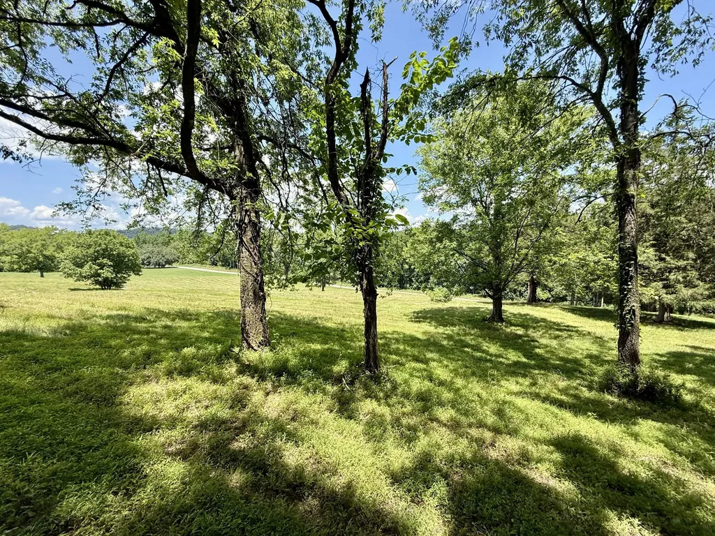 40 Mahan Lane Elmwood TN 38560