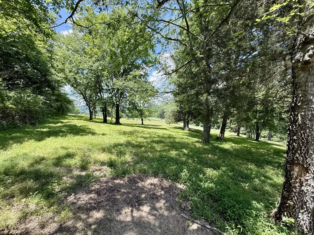 40 Mahan Lane Elmwood TN 38560