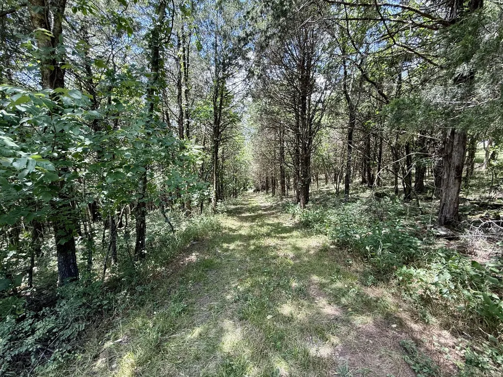 40 Mahan Lane Elmwood TN 38560