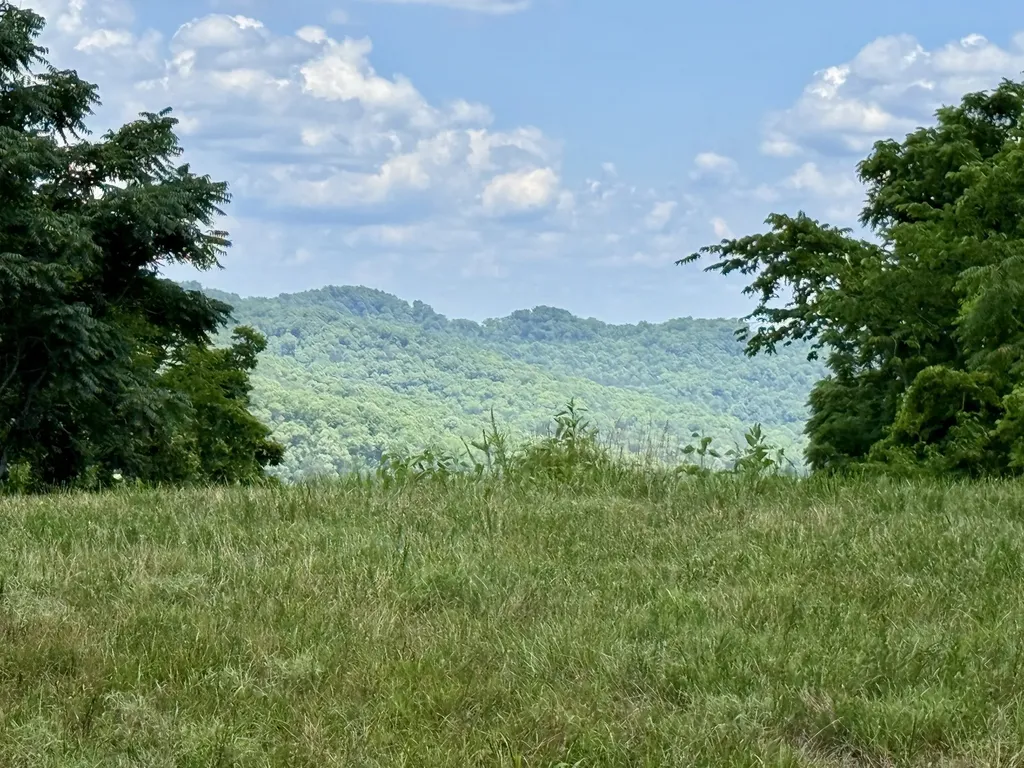 40 Mahan Lane Elmwood TN 38560