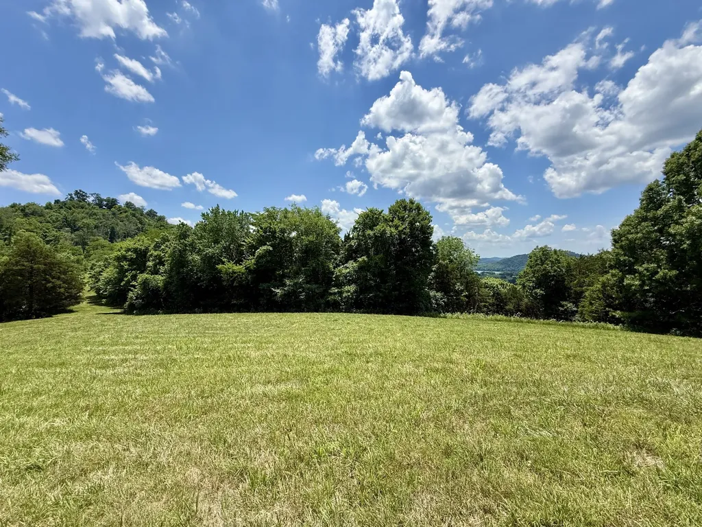 40 Mahan Lane Elmwood TN 38560