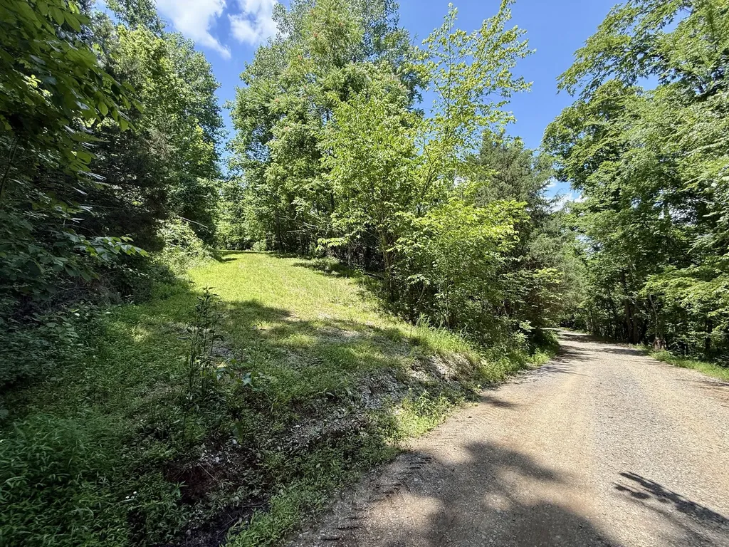 40 Mahan Lane Elmwood TN 38560