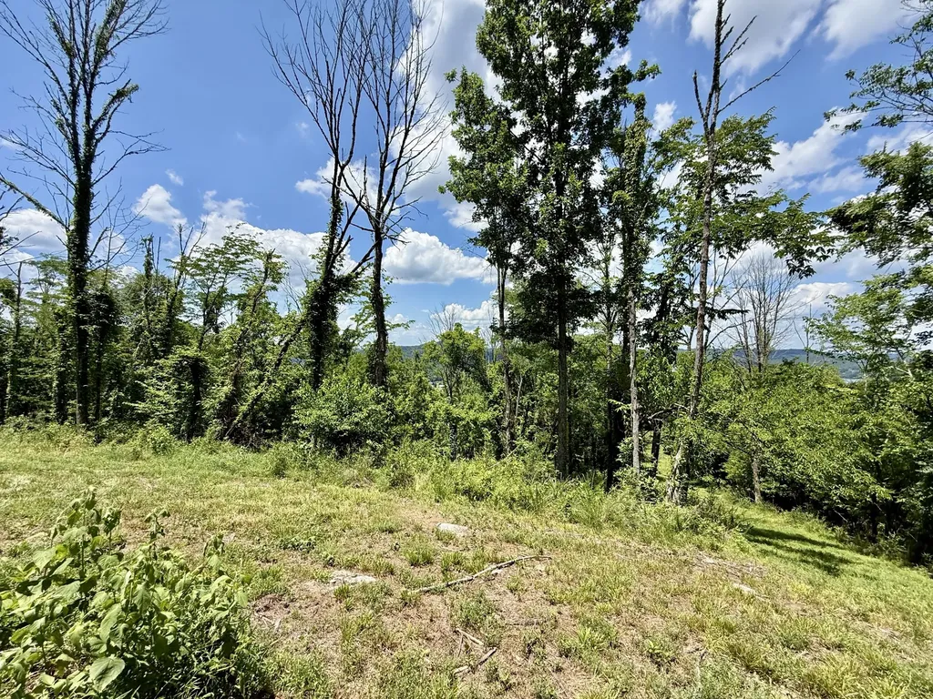 40 Mahan Lane Elmwood TN 38560