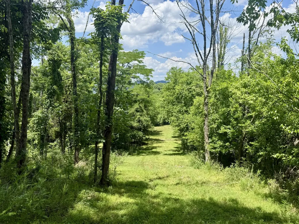 40 Mahan Lane Elmwood TN 38560