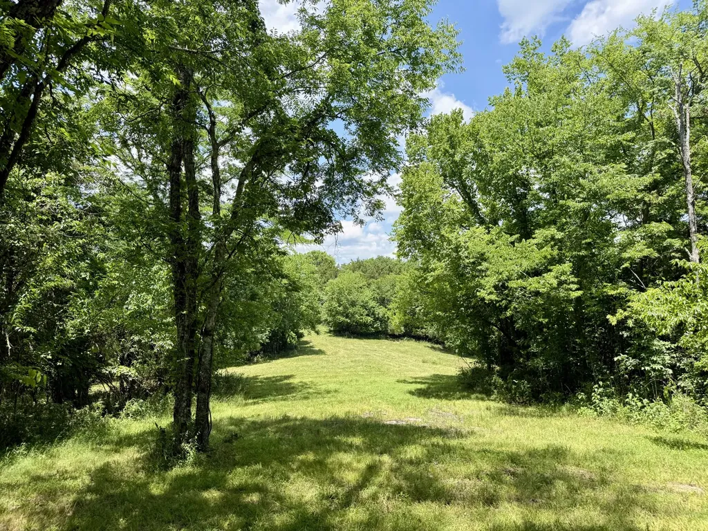40 Mahan Lane Elmwood TN 38560