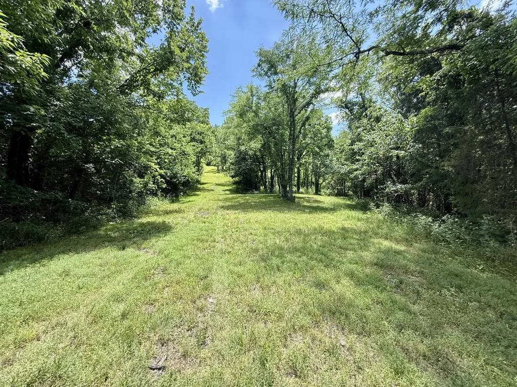 40 Mahan Lane Elmwood TN 38560